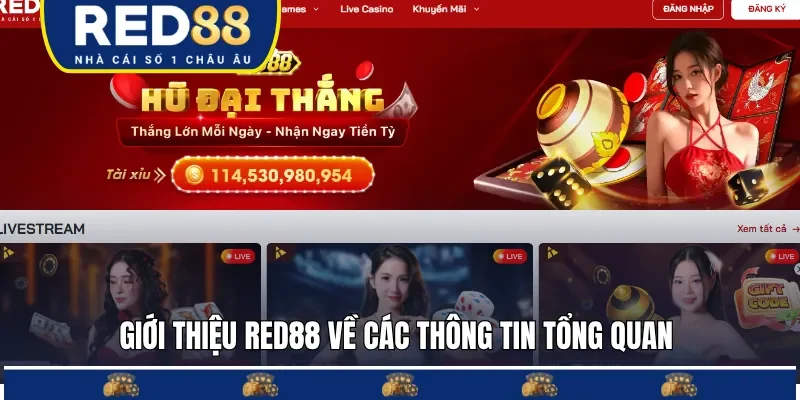 Giới thiệu RED88 về các thông tin quan trọng